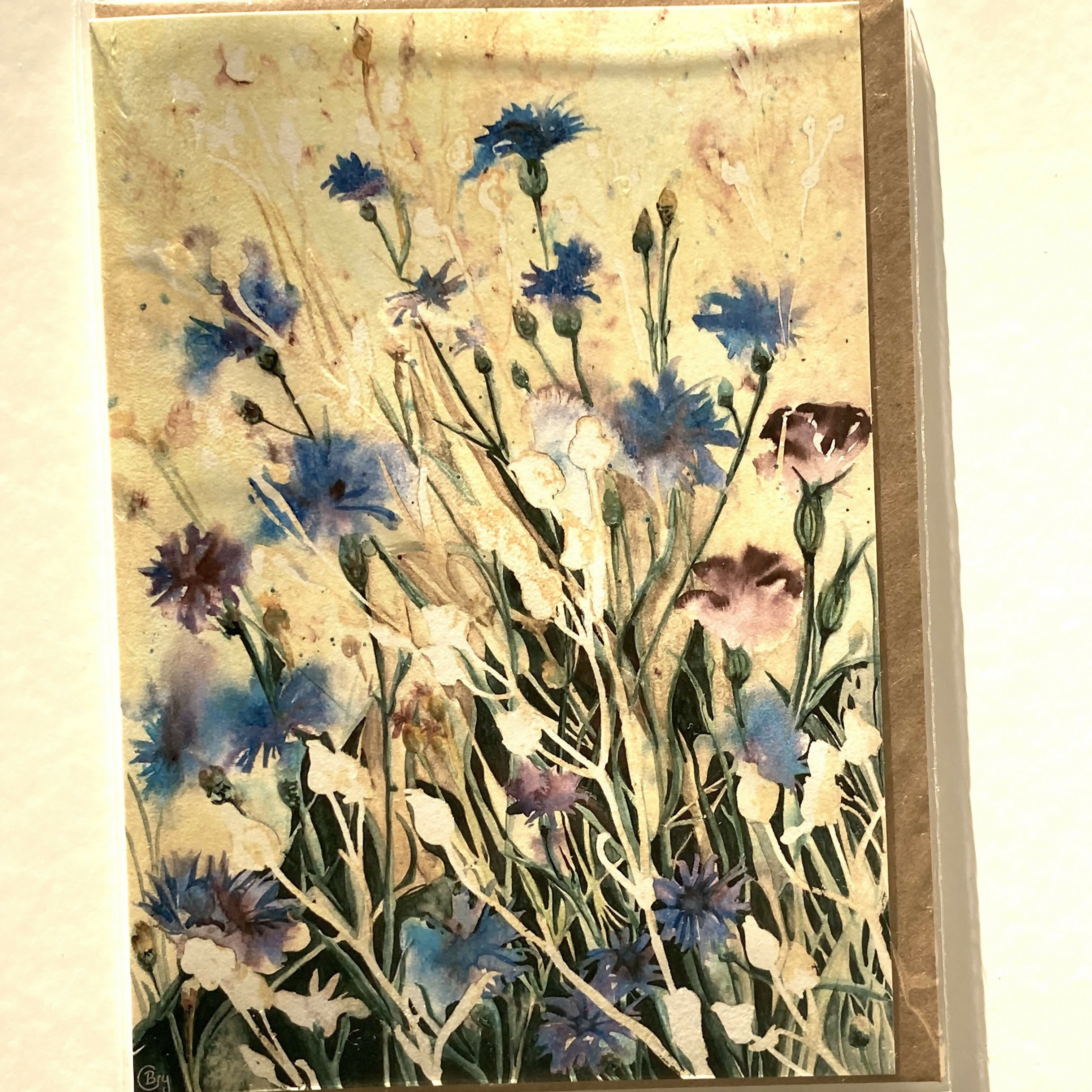 Cornflowers - Greetings Card