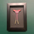 Lovely Faux Paper Pink Silk Moth In A Black Box Frame