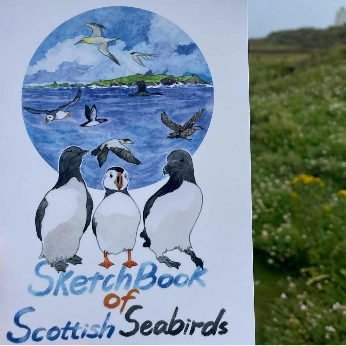 Scottish Seabirds Sketchbook