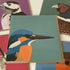 Kingfisher Greetings Card