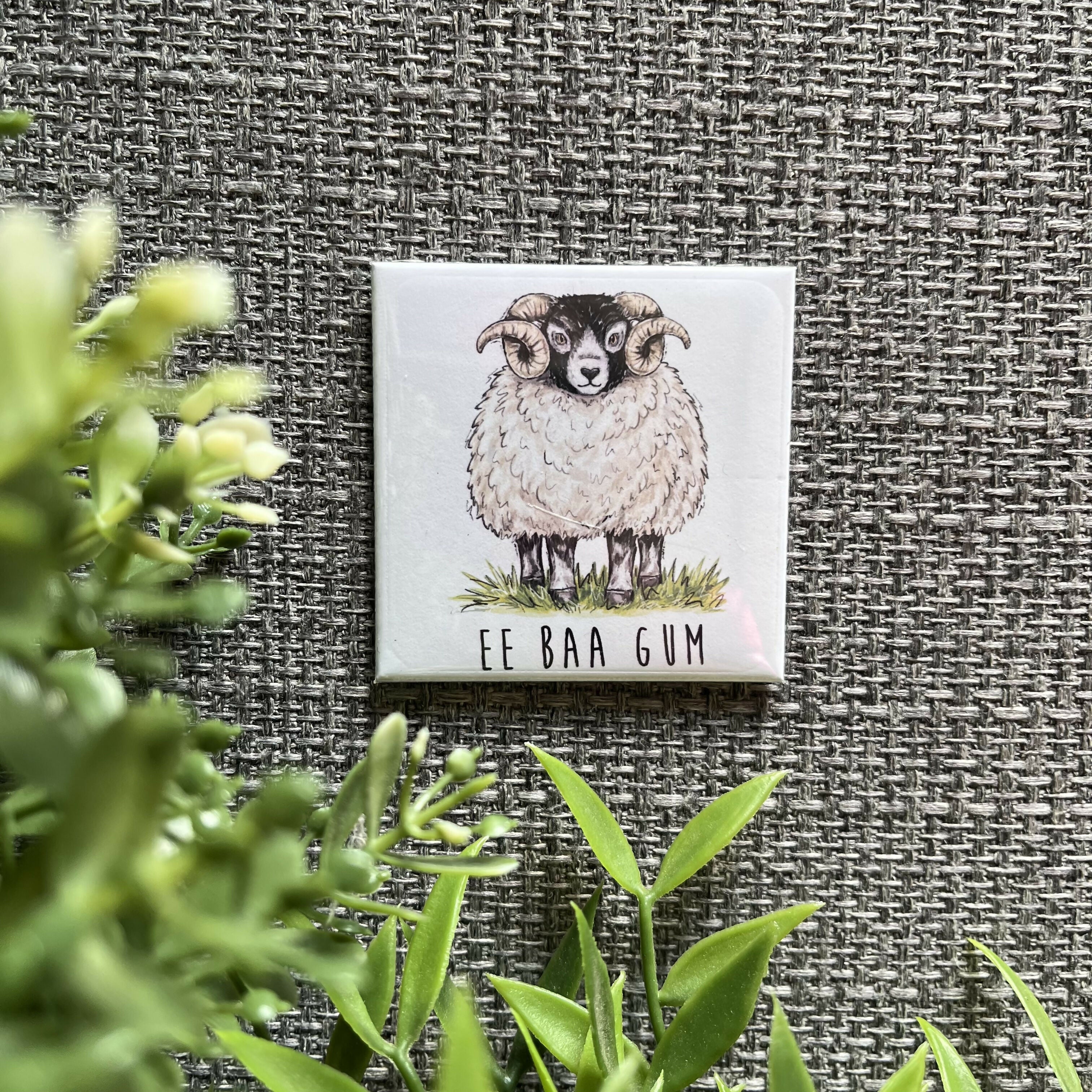 Ee Baa Gum Sheep Yorkshire Fridge Magnet
