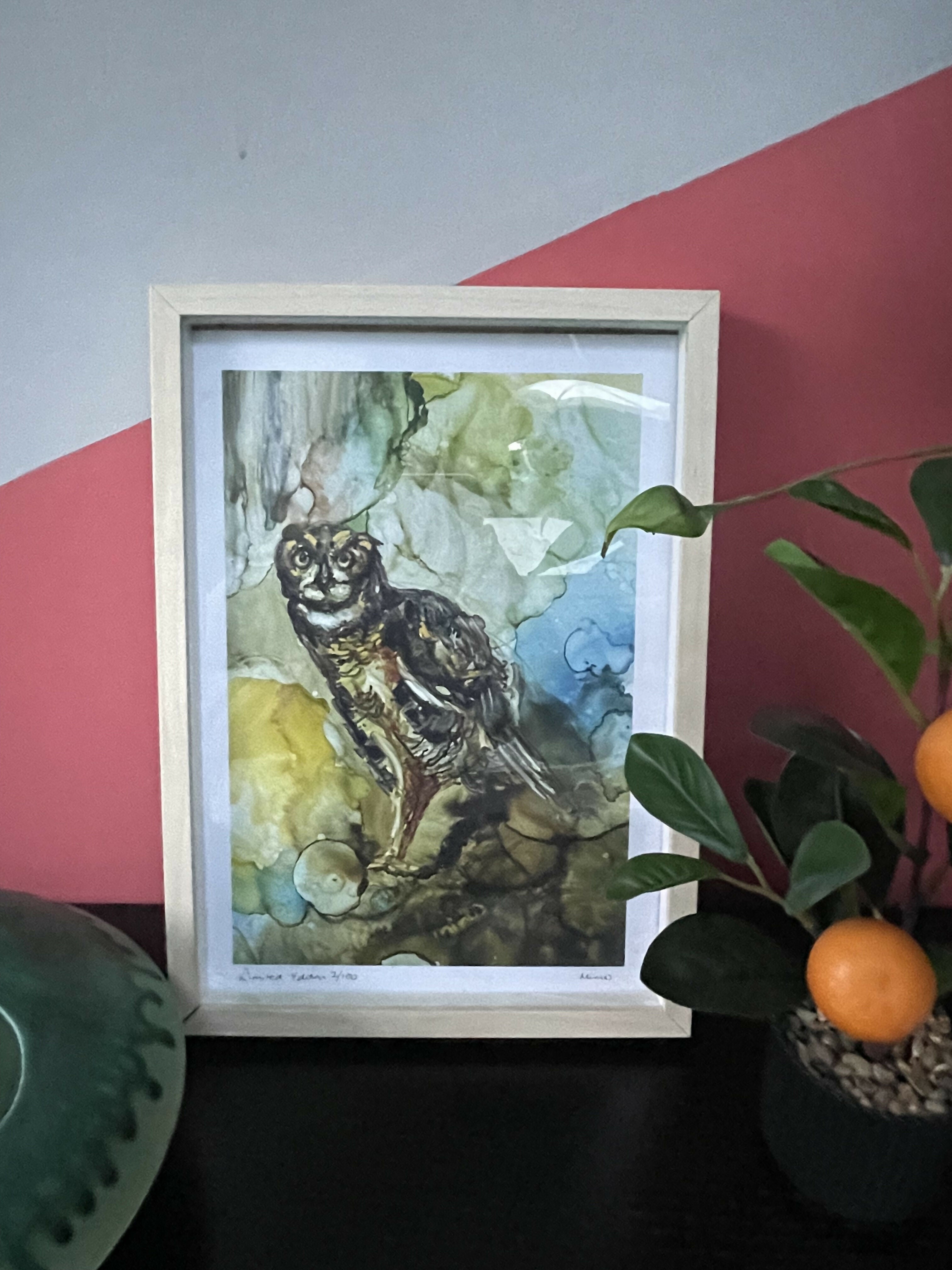 The Owls Gaze - Limited Edition Print