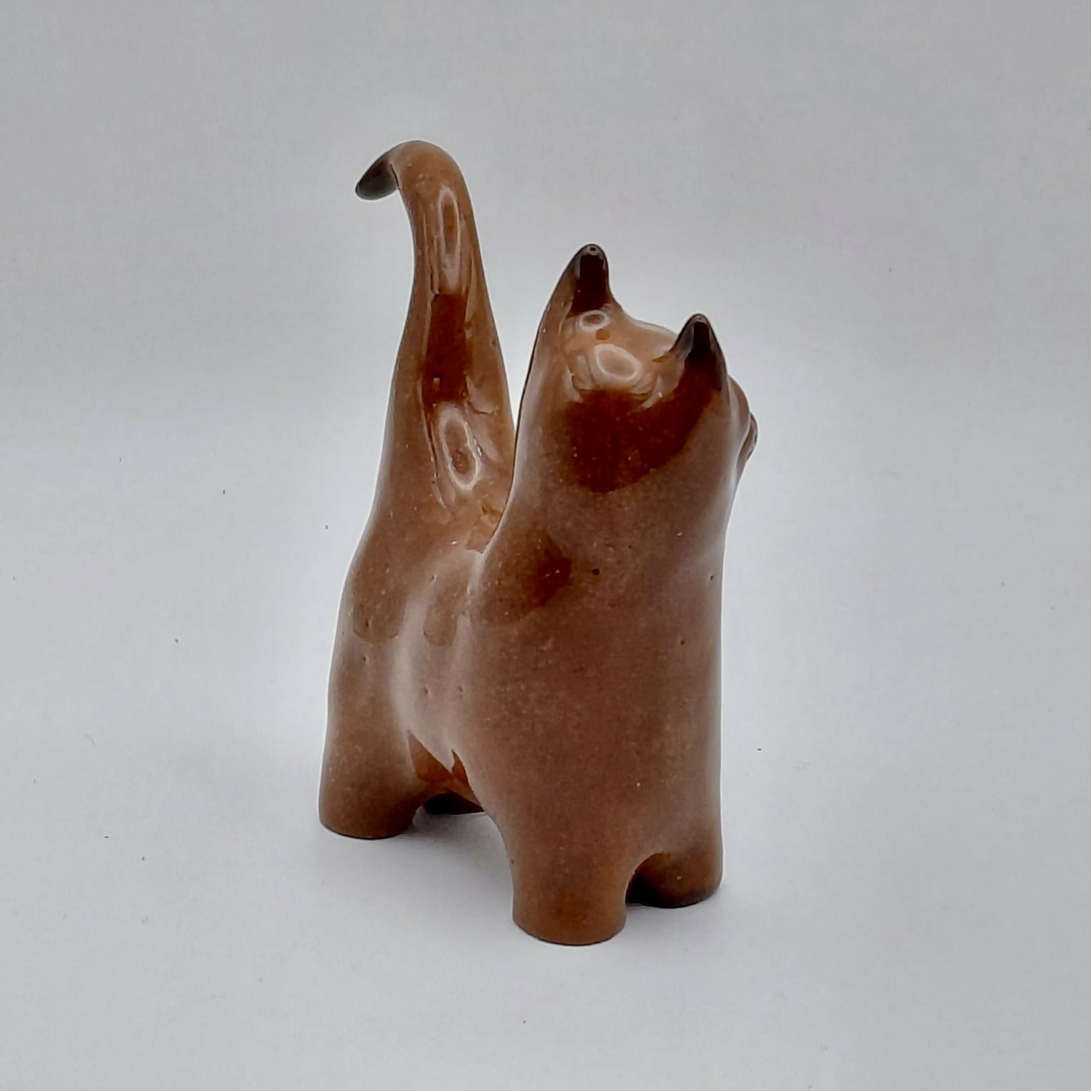 Chestnut Curious cat