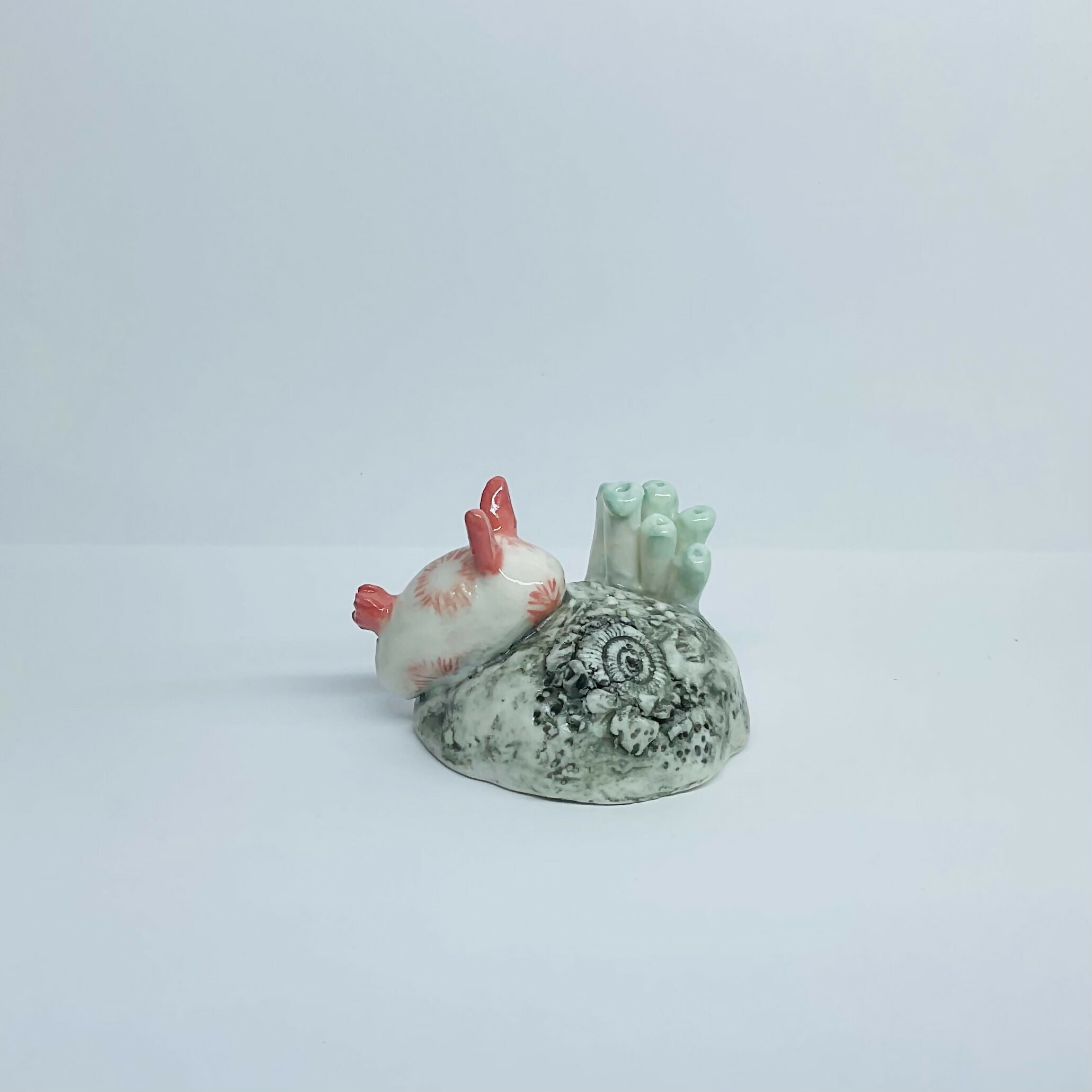 Porcelain Sea Bunny