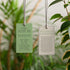 Triceratops & Ferns Compendium Tea Towel