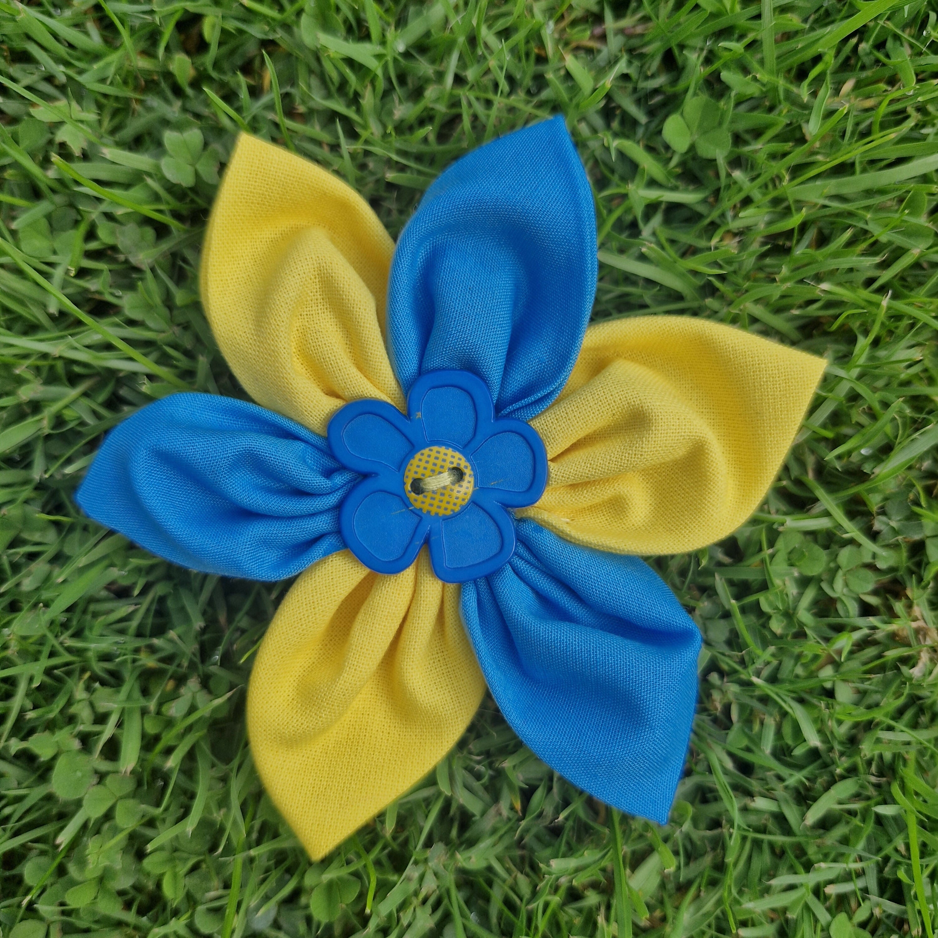 Dog Collar Flower