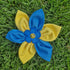 Dog Collar Flower