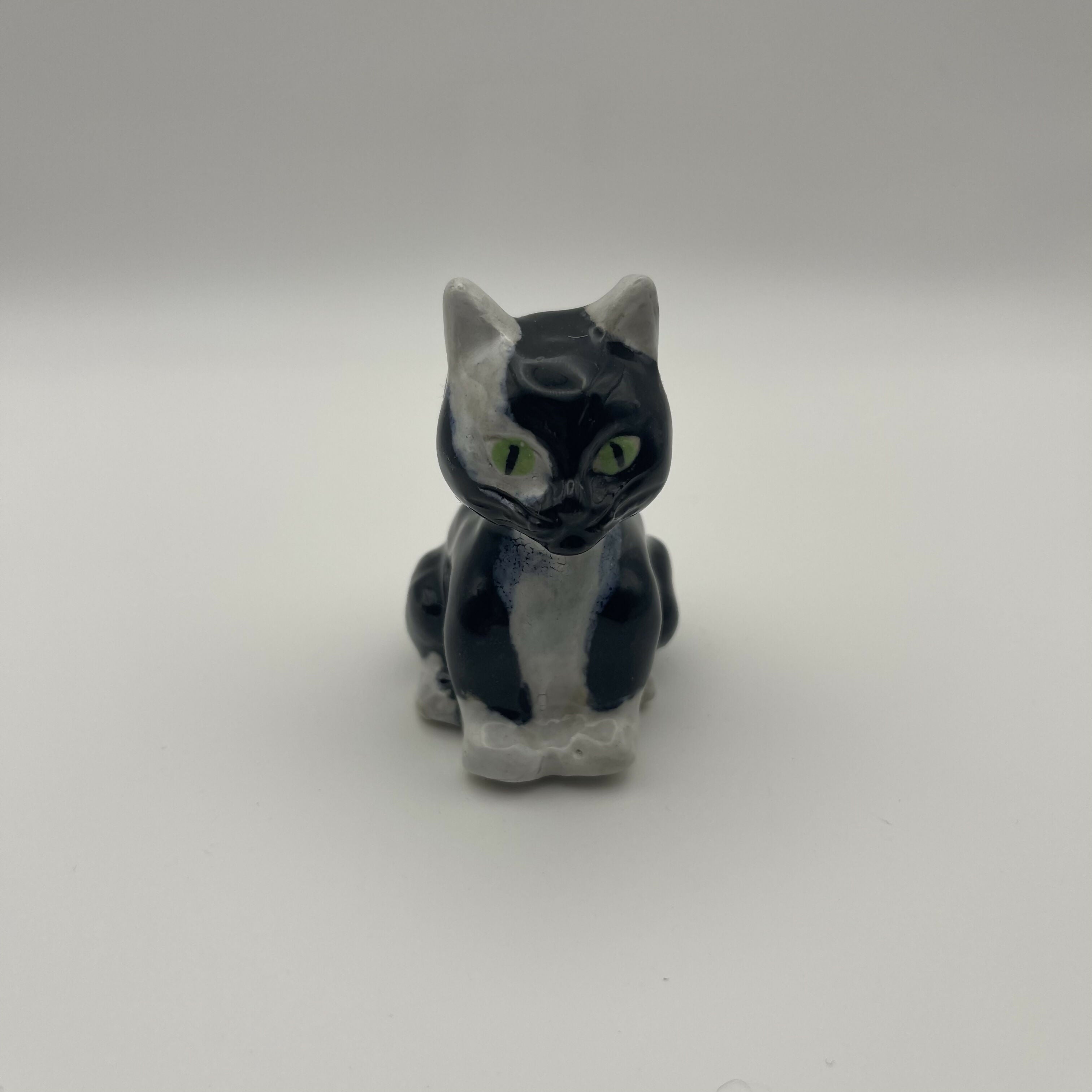 Black And White Cat