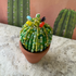 DIY Beaded Ball Cactus Kit with Terracotta Pot