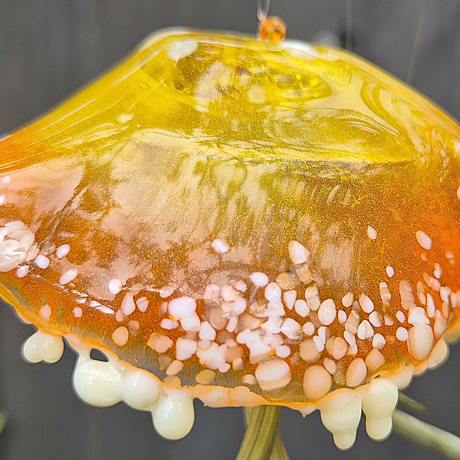 Rita The Jellyfish