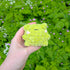 Frog Puff Pud - Crochet Plushie