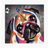 PUG DOG - COLOUR SPLASH MOUNTED ARTWORK.