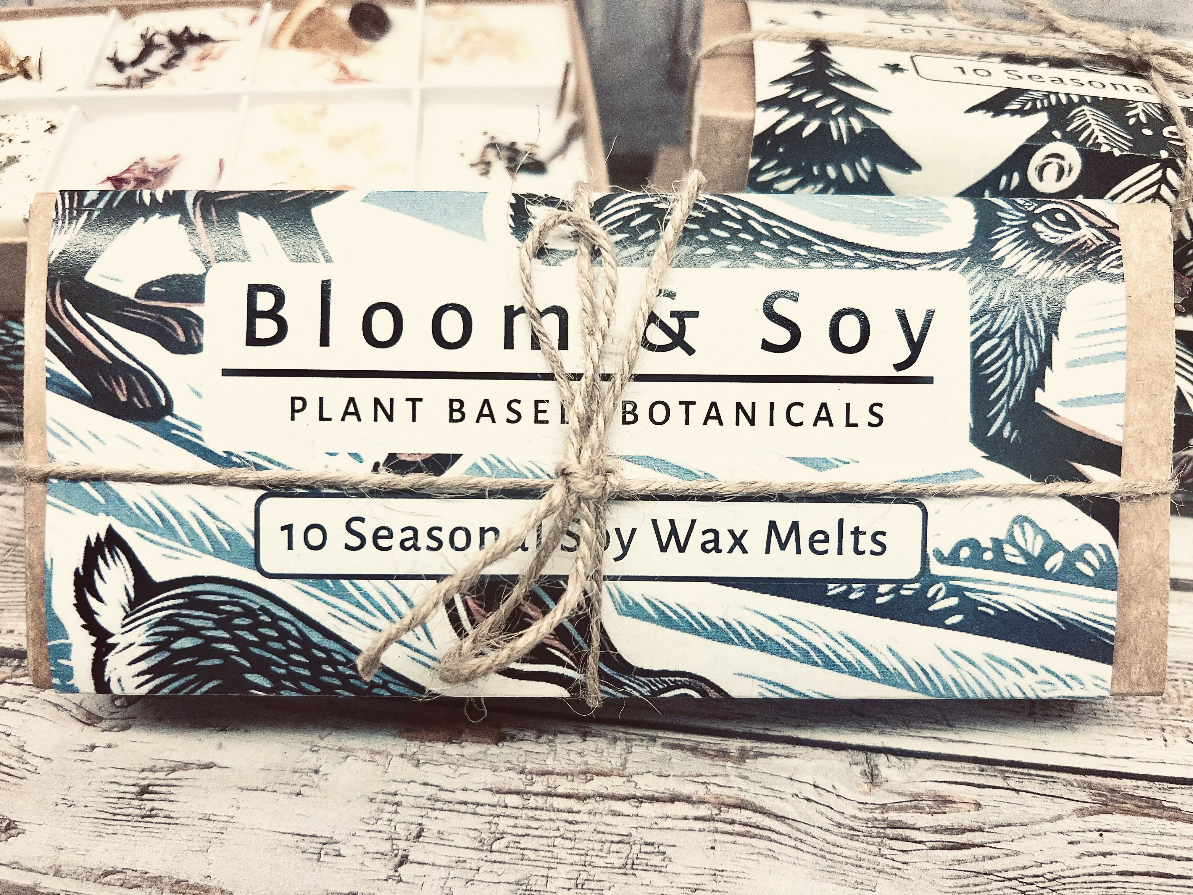 10 SEASONAL SOY WAX MELTS IN GIFT BOX