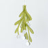 Large Mistletoe - Christmas Decoration