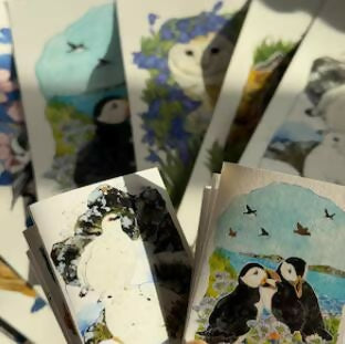 Wild Birds of the Year – Two-Volume Concertina Zine Set- Local Birds