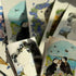 Wild Birds of the Year – Two-Volume Concertina Zine Set- Local Birds