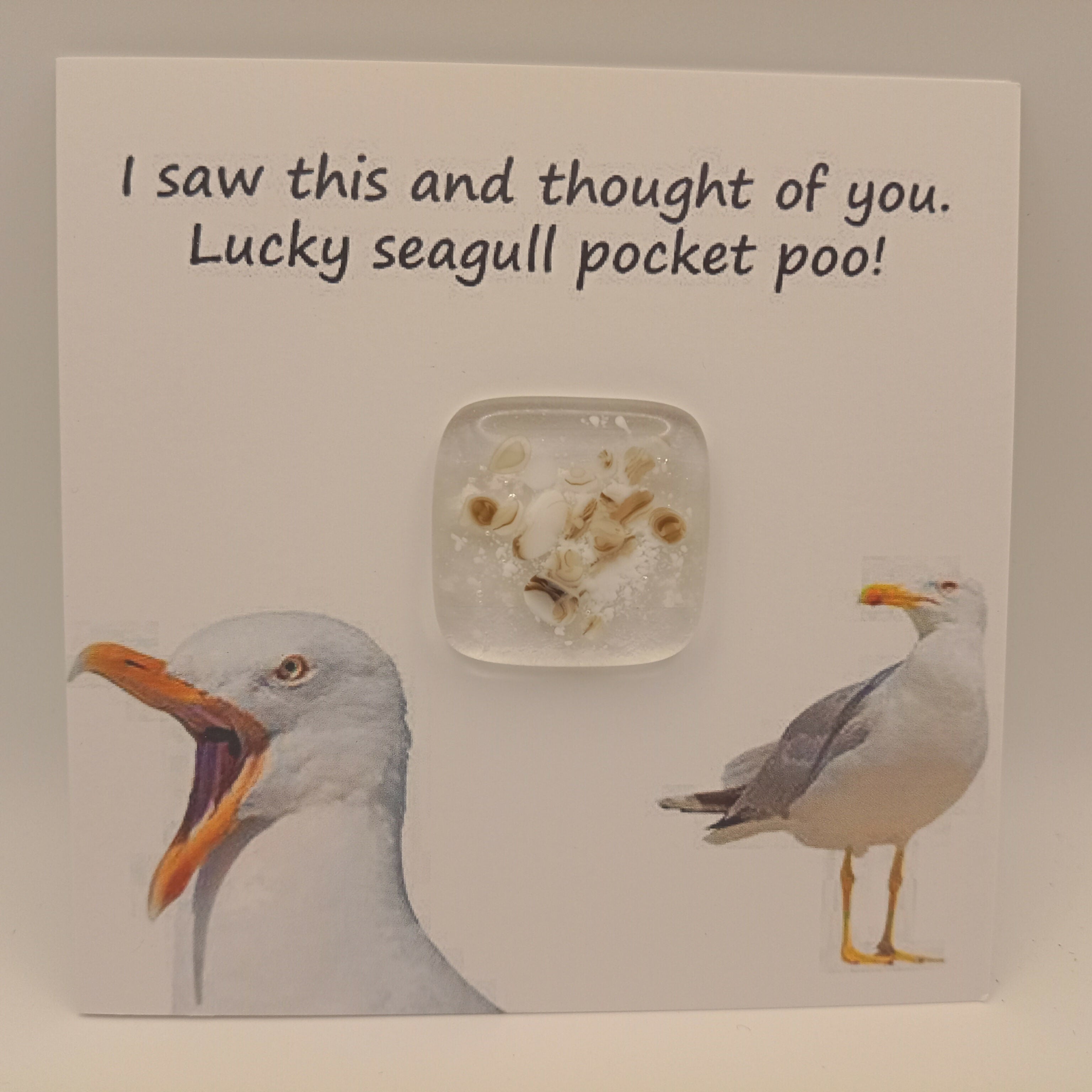 Fused Glass Pocket Poo