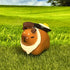 Chef Capybara & Fried Egg Figure