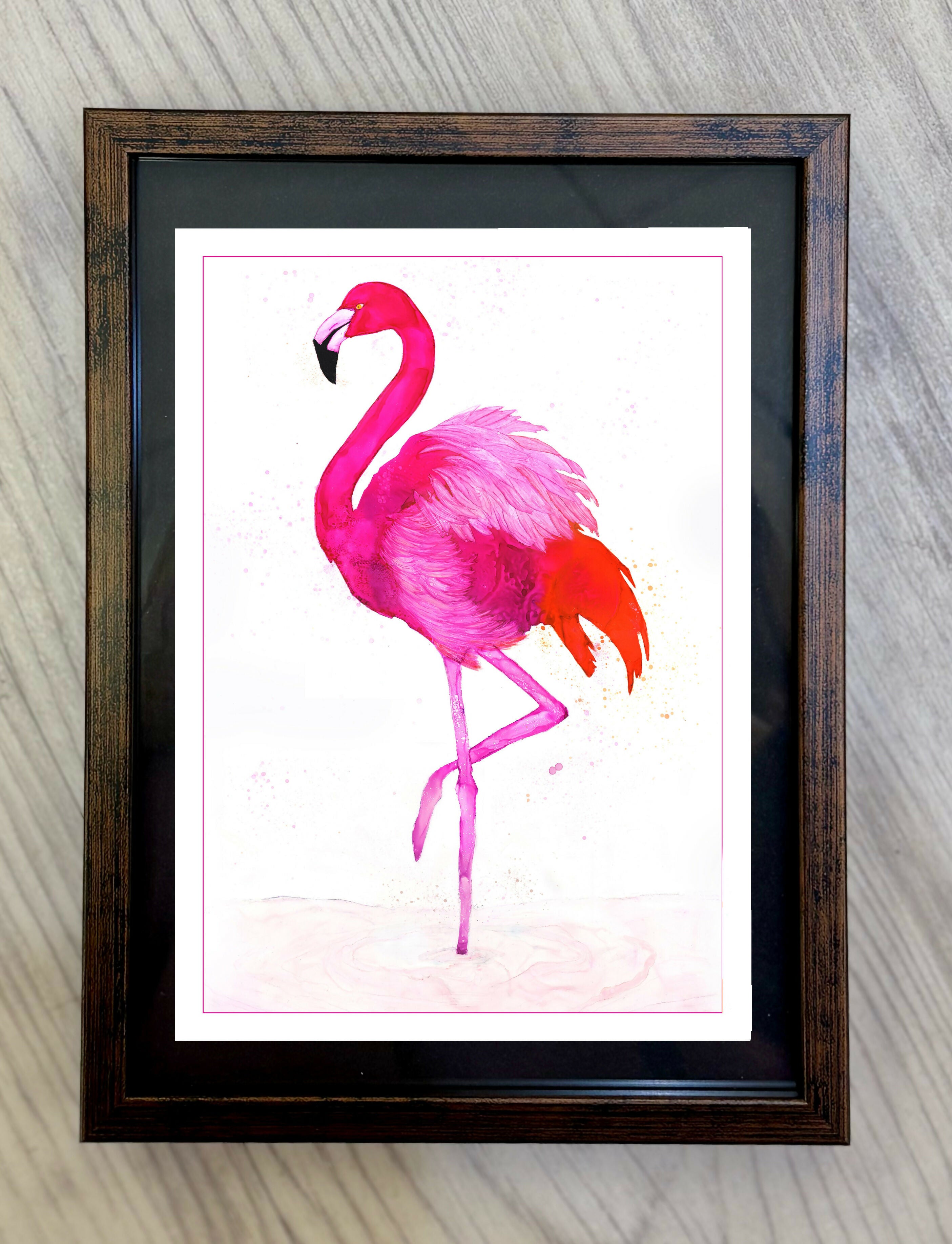 Framed A6 Animals