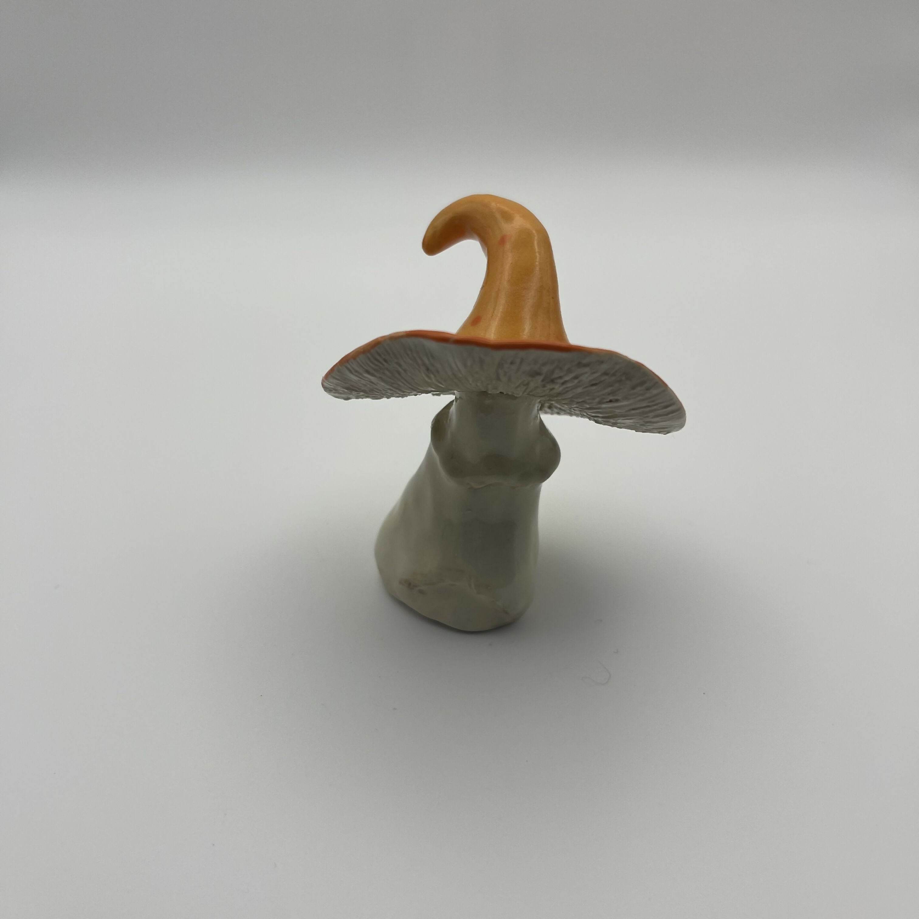 Fairy mushroom