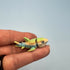 3D Printed Micro Miniatures: Articulated Sensory Fidget Animals friends, Tigers, Turtles, Cats, Dog, Spider, Rat, Green/Blue Shark 4-5cm