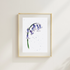 Bluebell Art Print