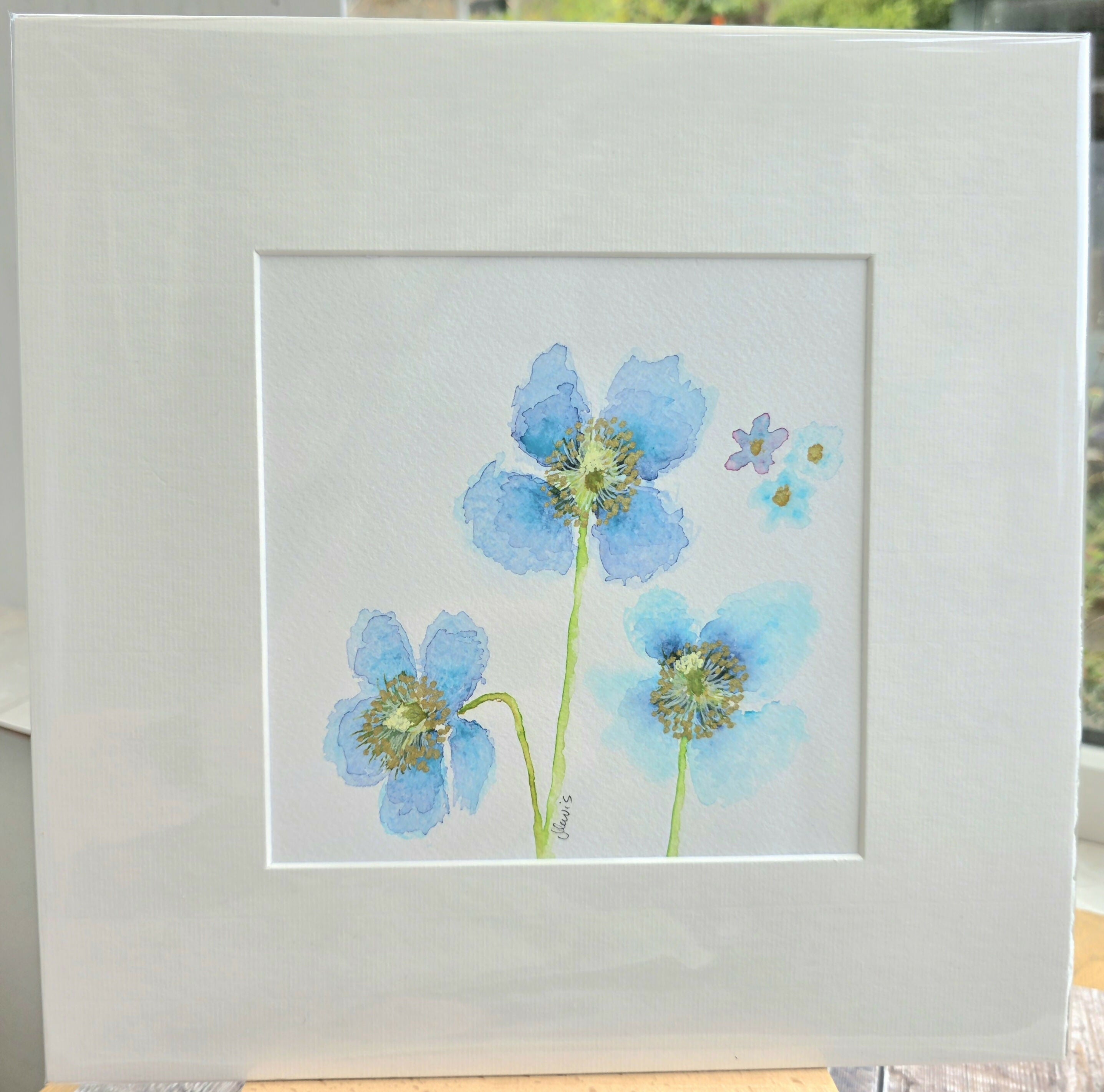 'Meconopsis' Original Mixed Media Painting