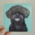 Shih Tzu Black and White Chin Green Dog Coaster