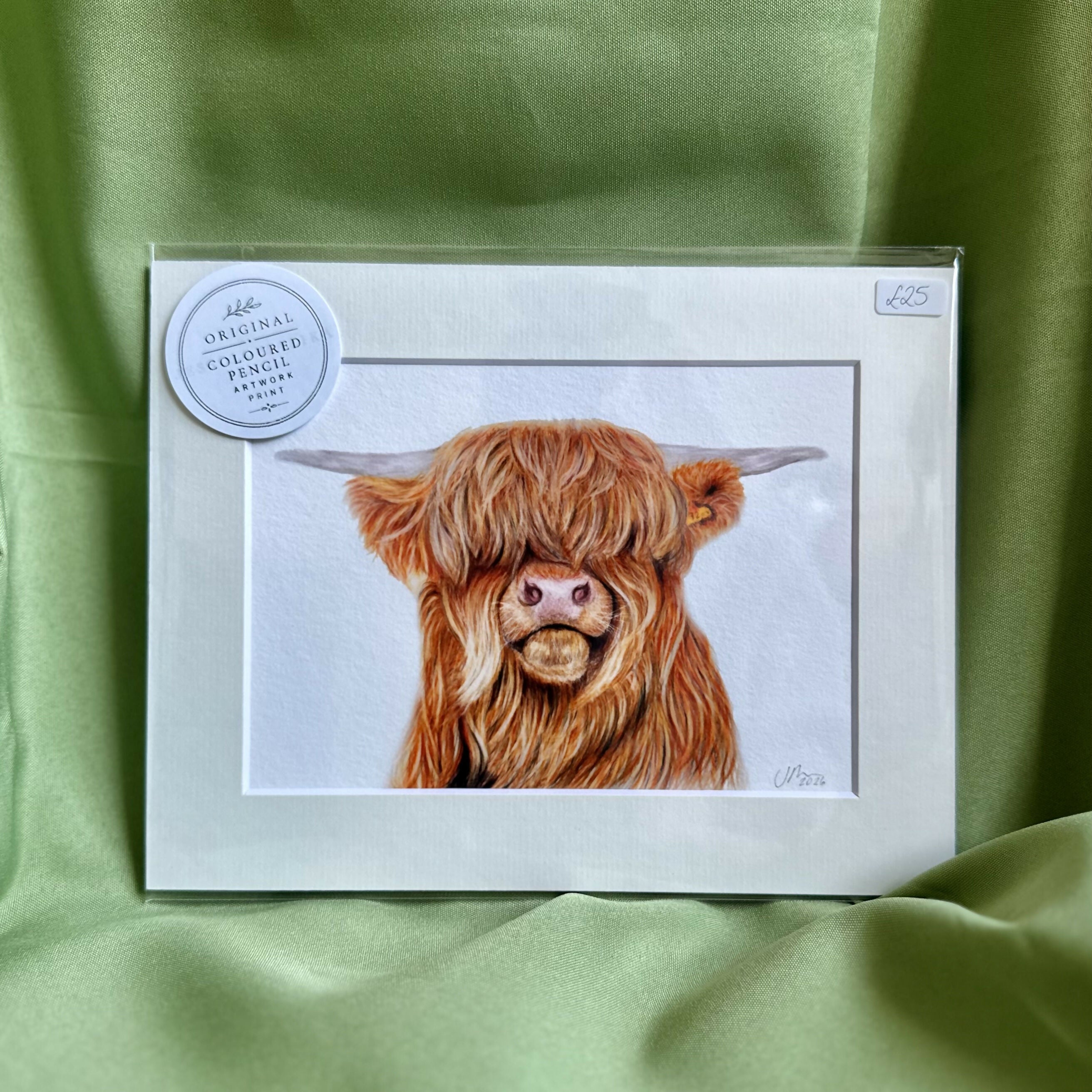 Highland Cow Art Print | Premium Velvet Fine Art Print | Country Cottage Wall Art