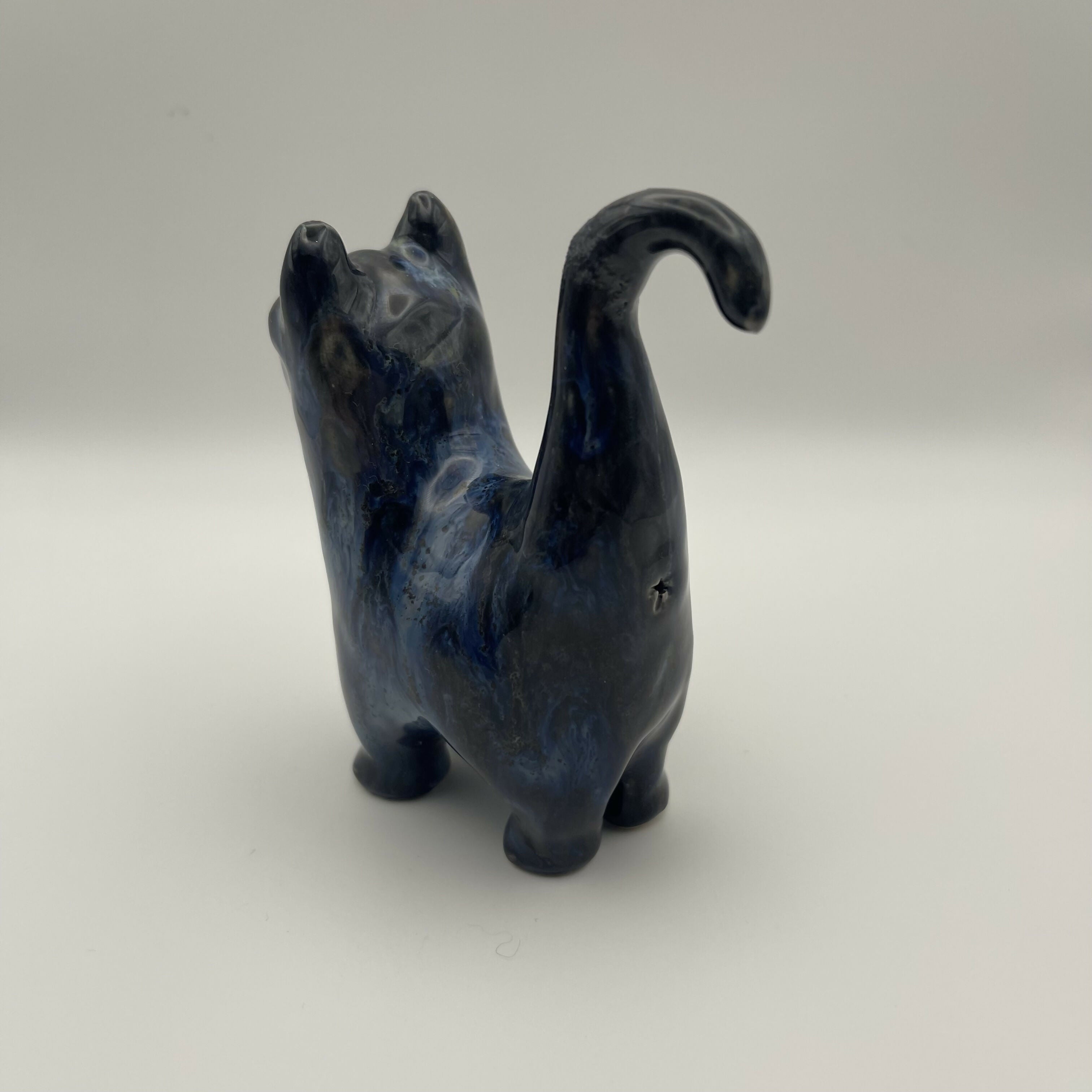 Blue Marble Cat