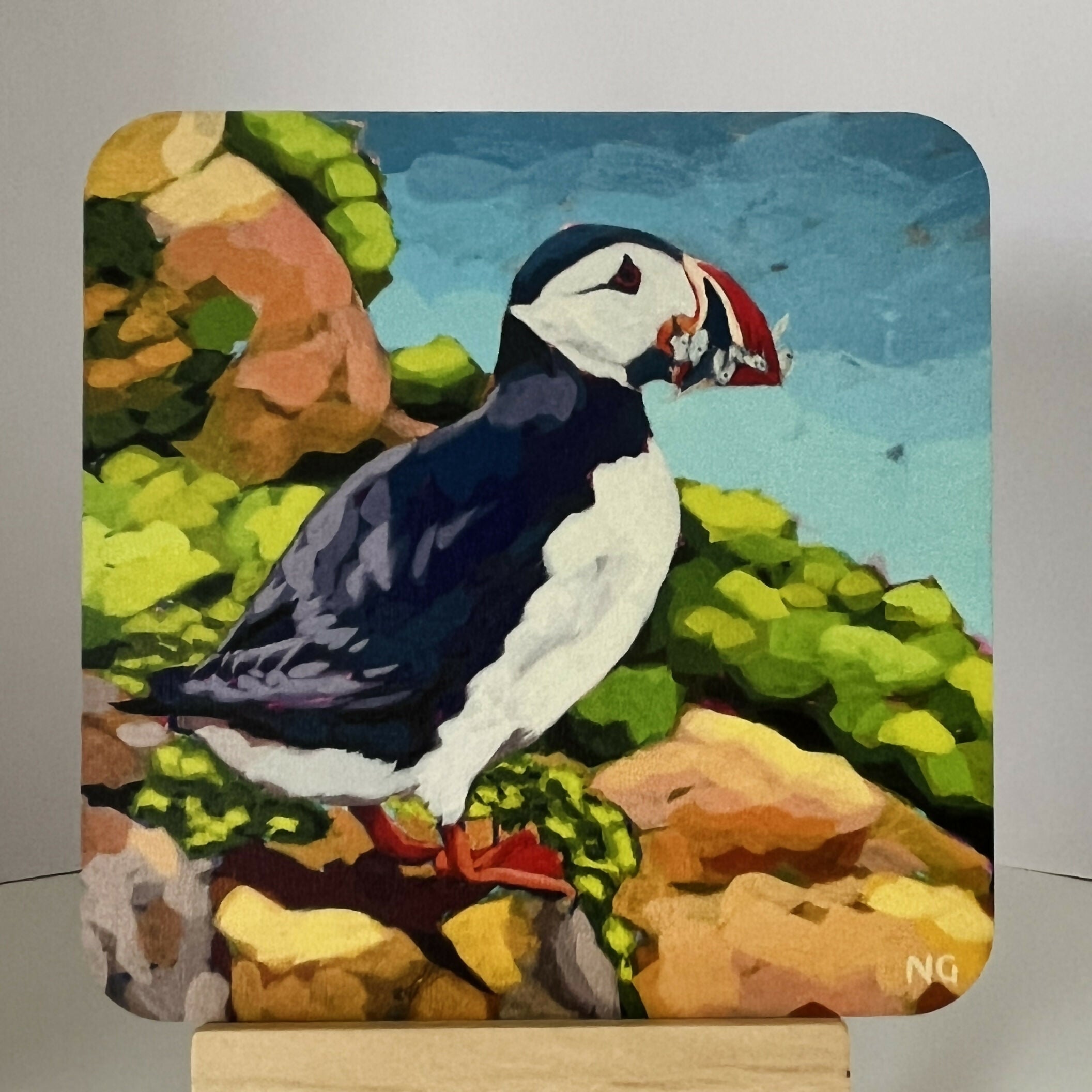 Puffin Catch of the Day - Coaster