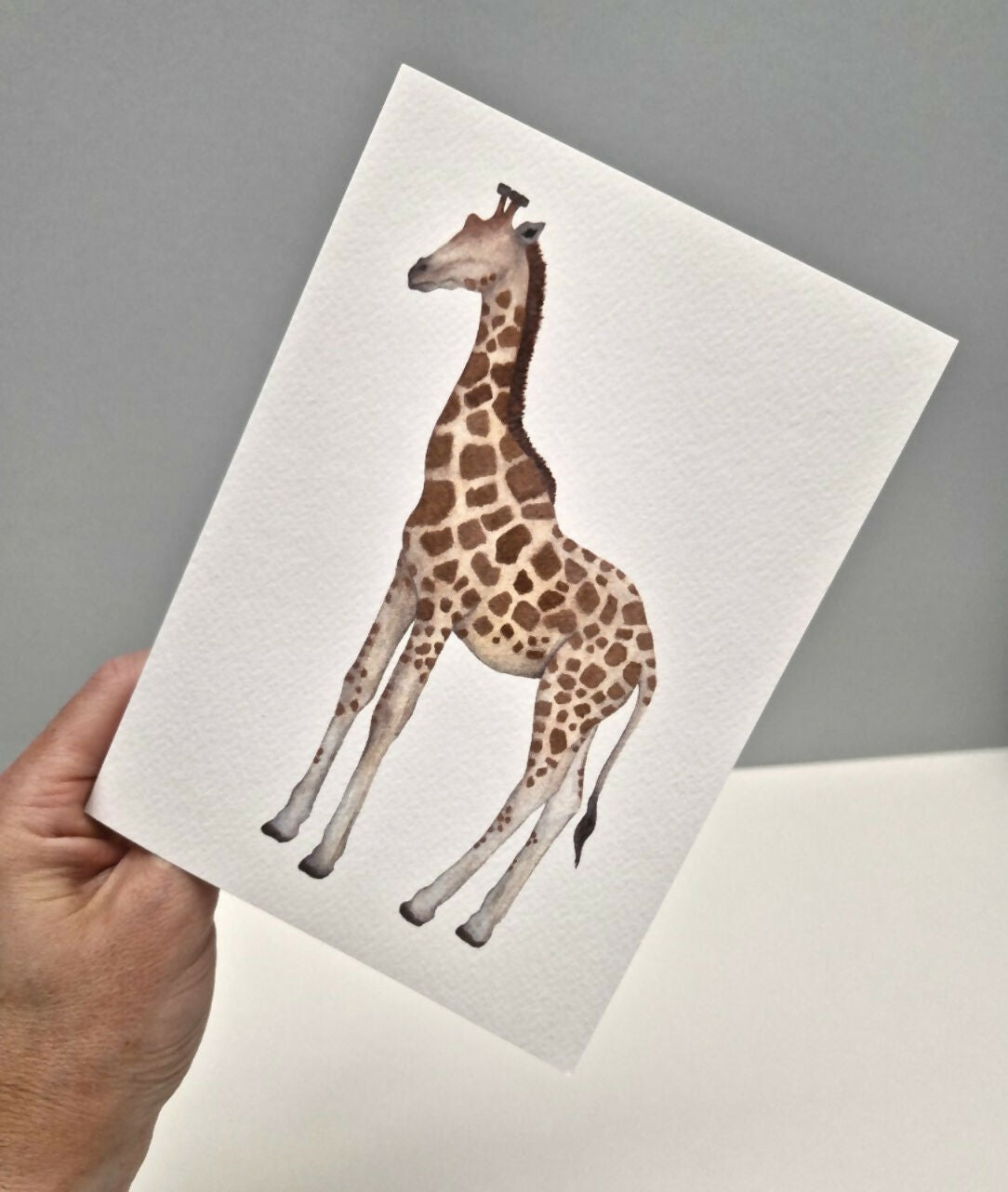 Giraffe Greeting Card
