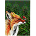 Big and Glossy Follow the Fox A5 Greeting Card