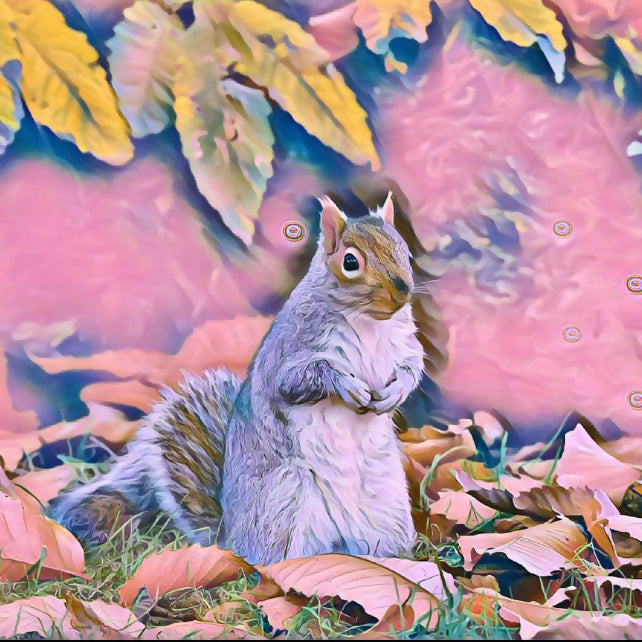 Cheeky Squirrel