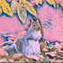 Cheeky Squirrel