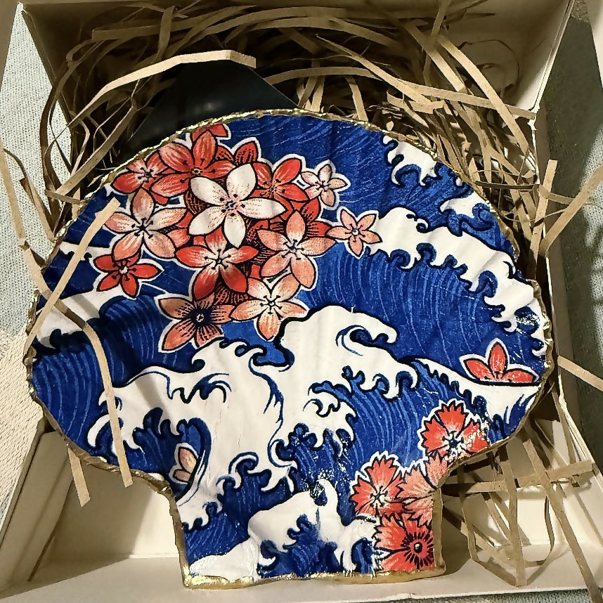 Japanese blue Scallop