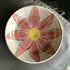 Handpainted Flower Dish