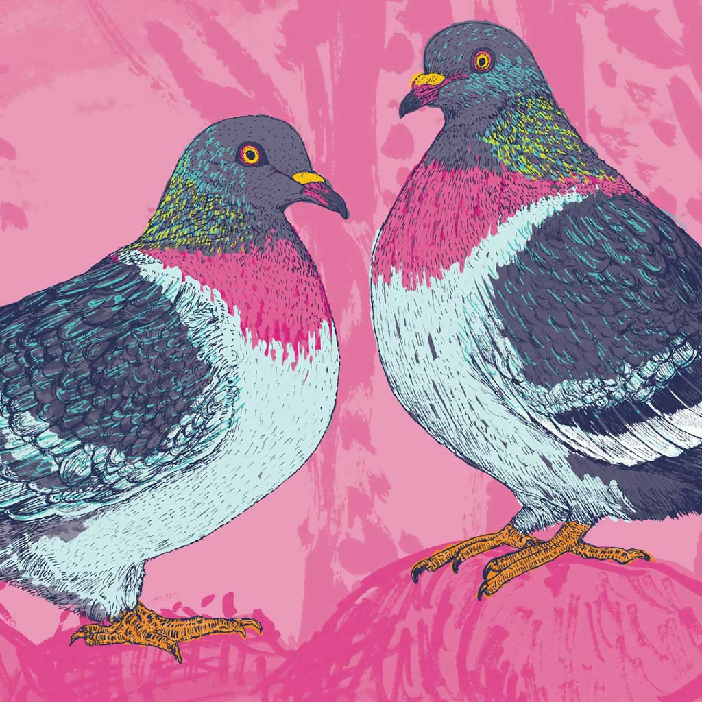 Pigeons – Urban Wildlife Wall Art Print