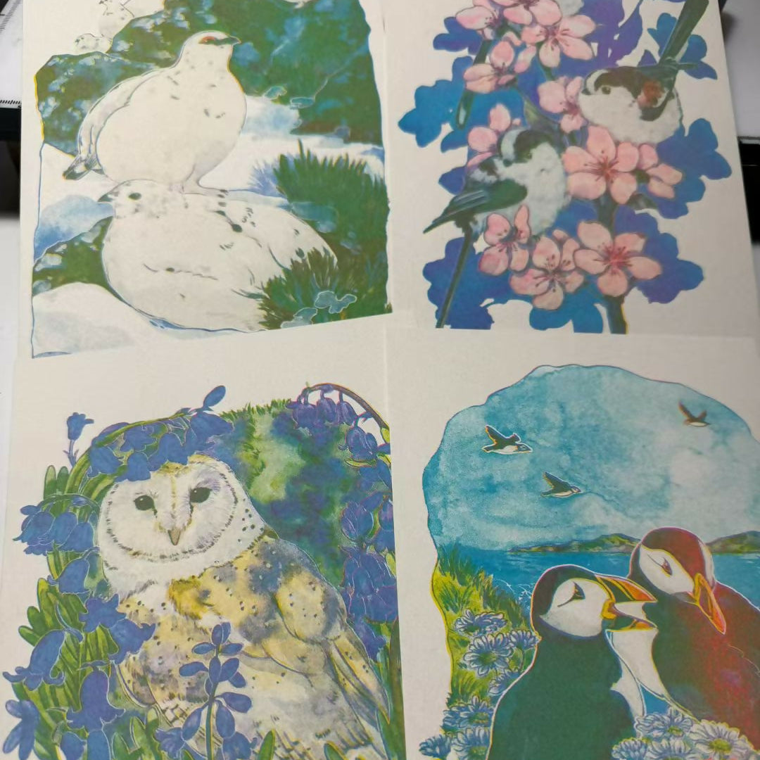 Wild Birds Riso Print