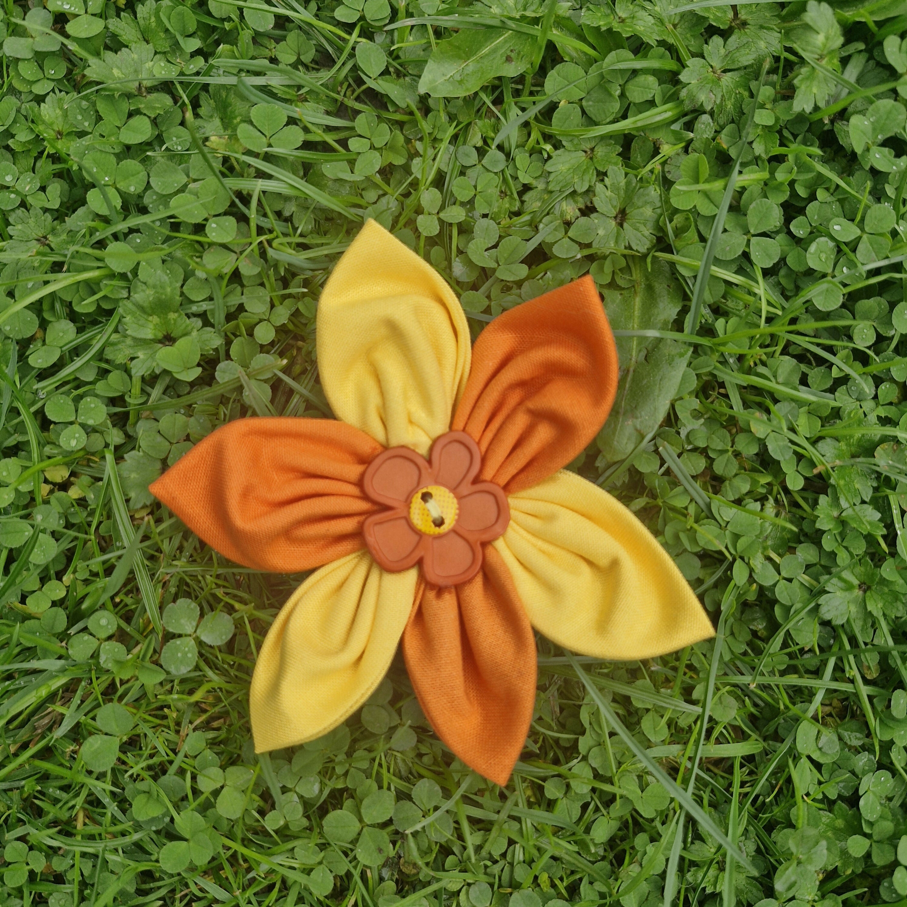 Dog Collar Flower