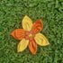 Dog Collar Flower
