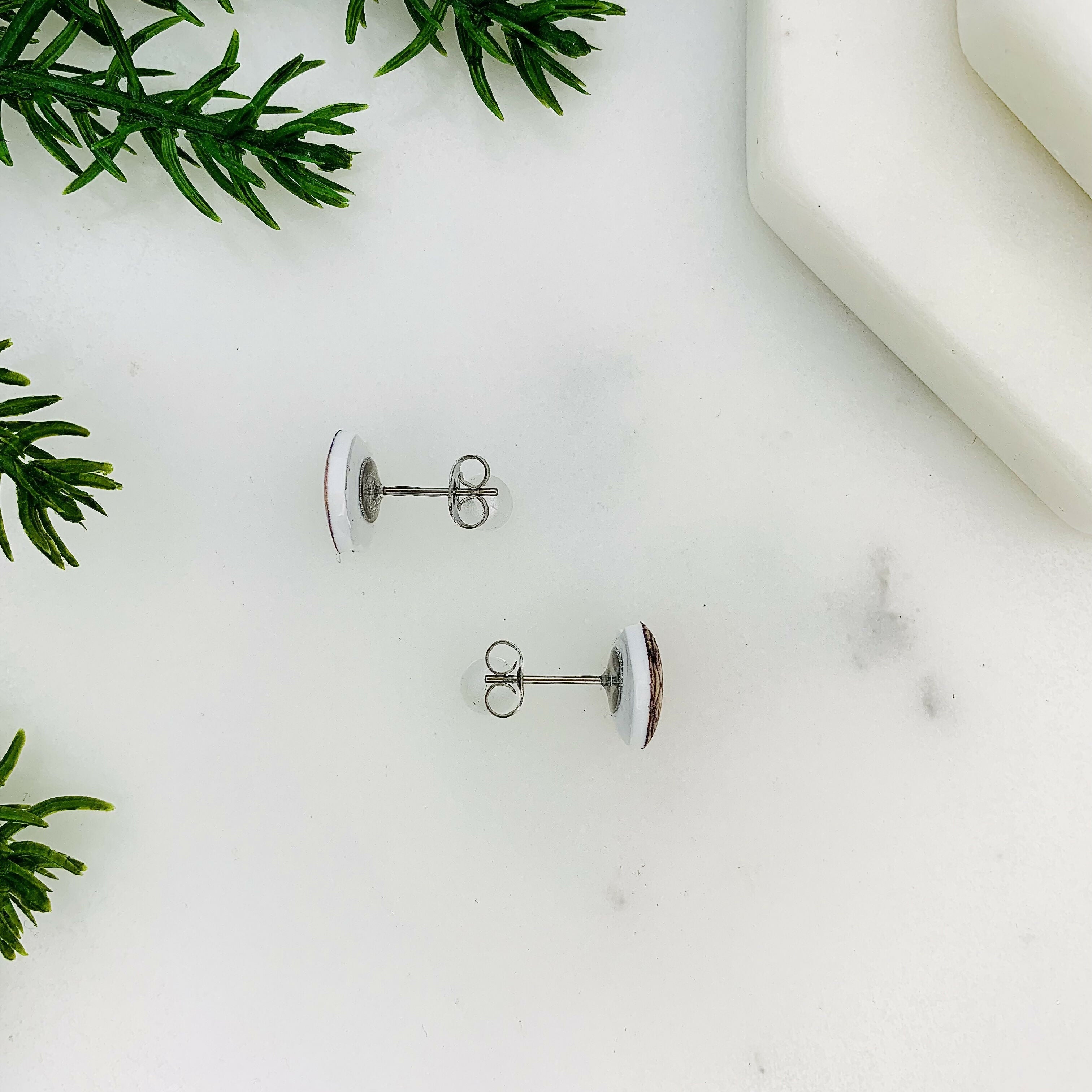 Capybara In Santa Hat Stud Earrings