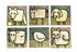ANIMAL ACRYLIC GICLEE PRINT. YUM YUM RANGE