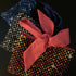 Disco Kindle Pouch
