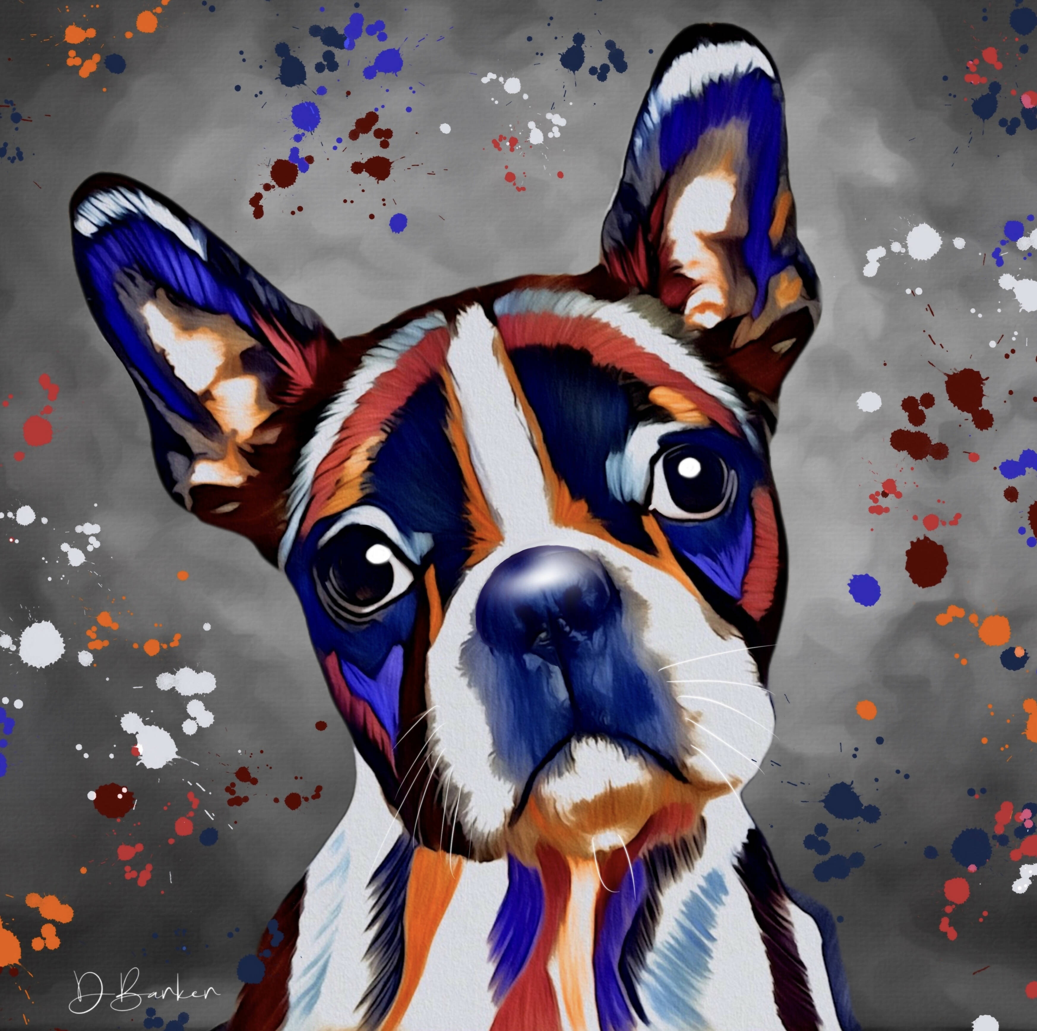 BOSTON TERRIER DOG COLOUR SPLASH MOUNTED ARTWORK.