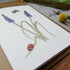 Ladybird and Muscari Card