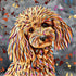 POODLE DOG COLOUR SPLASH FRAMED ARTWORK.