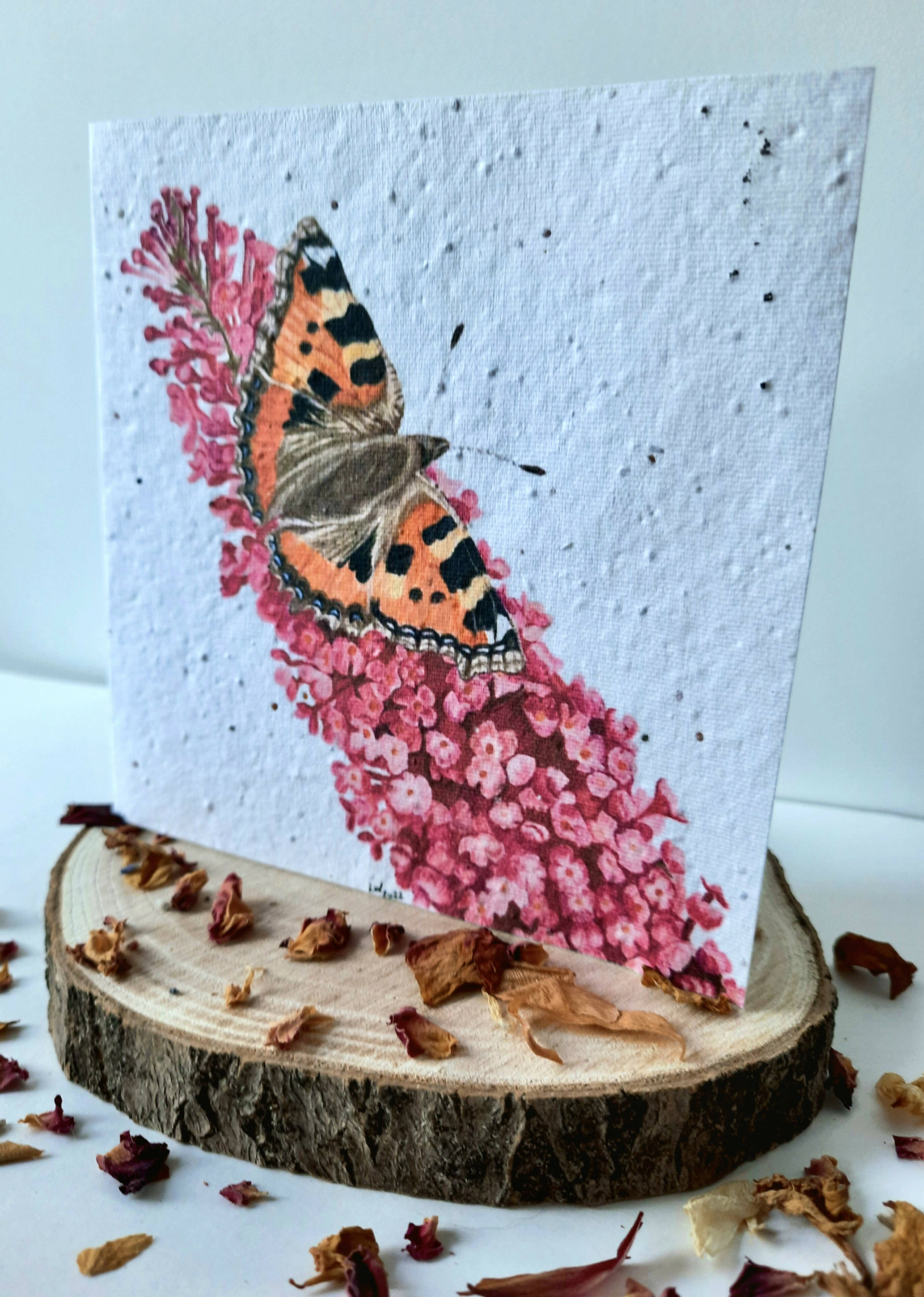 Plantable Wildflower Card - Butterfly Design