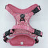 Aztec (Pink) Discovery Harness