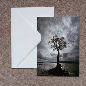 Loch Lomond oak tree - card